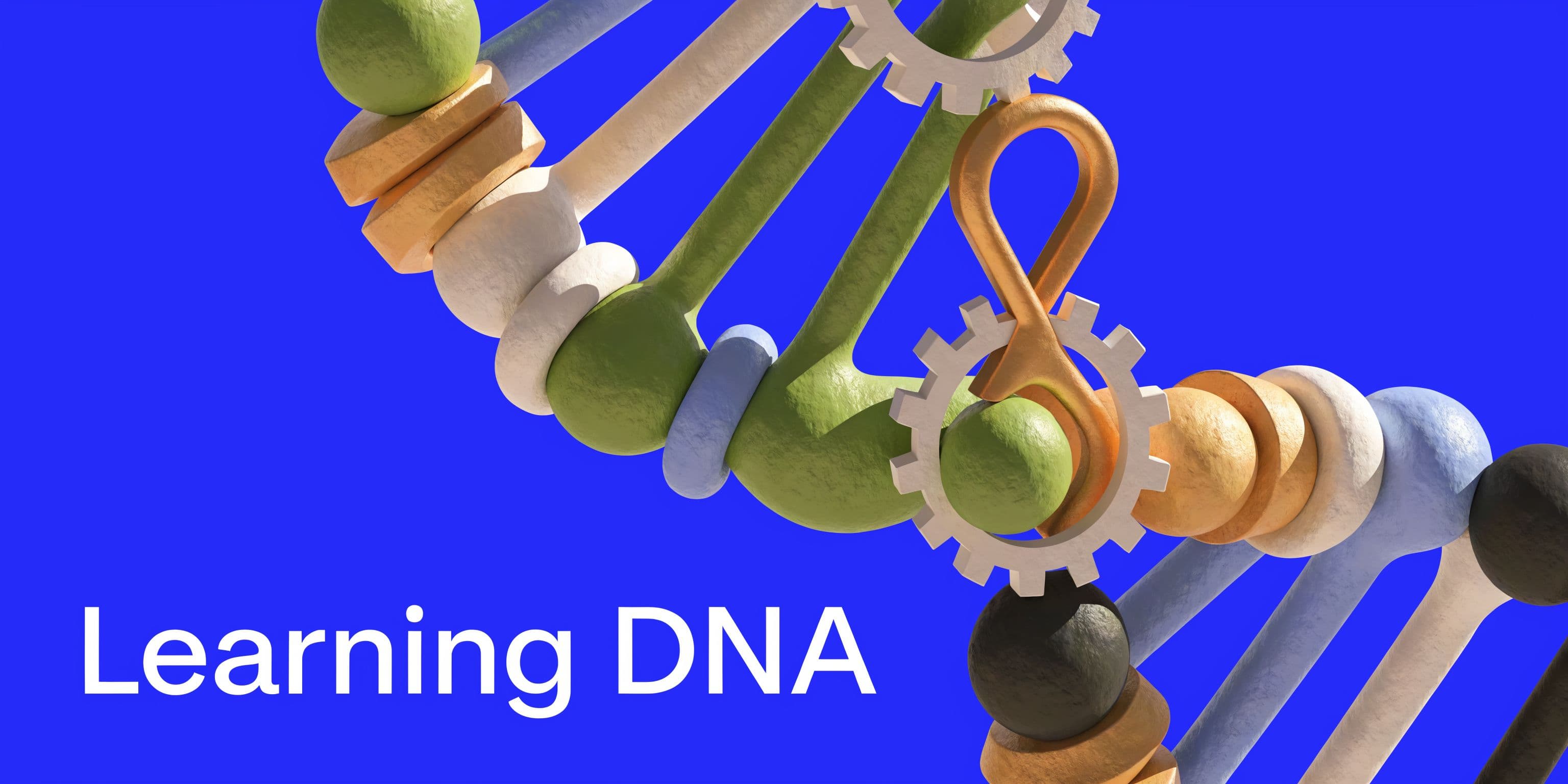 Inline image for Learning in Organizations A Guide to Building a Smarter Team